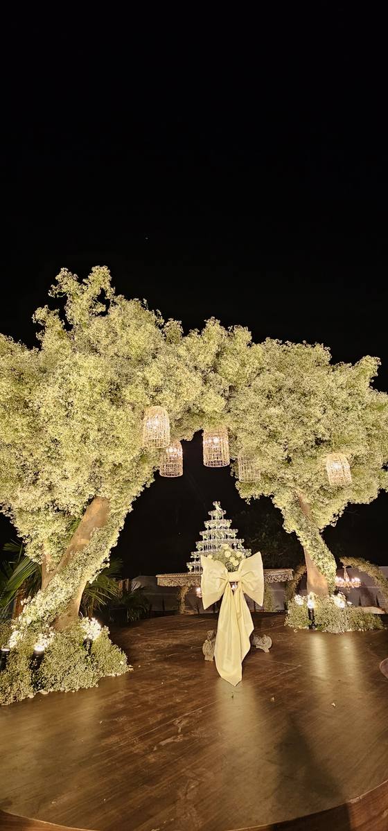 Shimul & Rahul: reception décor